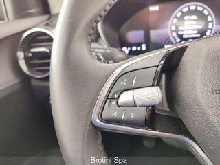 SKODA Fabia 1.0 MPI EVO 80 CV Young Edition 13