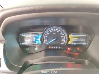 FORD Ranger 2.0 ECOBLUE aut.213CV DC Wildtrak-Stormtrak 5 posti 15