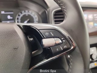 SKODA Karoq 1.0 TSI 110 CV Executive 14