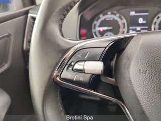 SKODA Karoq 1.0 TSI 110 CV Executive 15