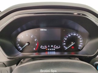 FORD Focus 1.0 EcoBoost 125 CV automatico 5p. ST-Line Co-Pilot 14