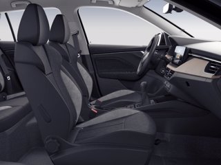 SKODA Kamiq 1.5 TSI ACT DSG Black Dots 4