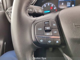 FORD Fiesta 1.1 75 CV 5 porte Titanium 14