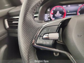 SKODA Kamiq 1.0 TSI 110 CV Monte Carlo 14