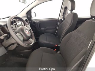 FIAT Panda 1.0 FireFly S&S Hybrid 6