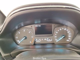 FORD Fiesta 1.5 TDCi 5 porte Titanium 15