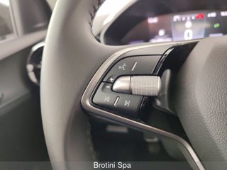 SKODA Fabia 1.0 TSI Evo 70KW YOUNG EDITION 13