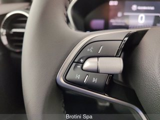 SKODA Fabia 1.0 MPI 80 CV Young Edition 13