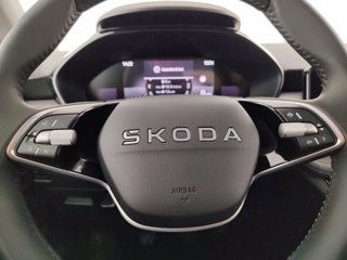 SKODA Fabia 1.0 MPI Evo 59KW YOUNG EDITION 12