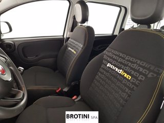 FIAT Panda 1.0 FireFly 70cv S&S Hybrid Pandina 11