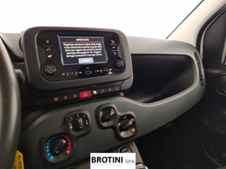 FIAT Panda 1.0 FireFly 70cv S&S Hybrid Pandina 12