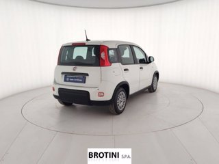 FIAT Panda 1.0 FireFly 70cv S&S Hybrid Pandina 2