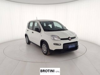 FIAT Panda 1.0 FireFly 70cv S&S Hybrid Pandina 3