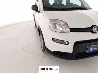 FIAT Panda 1.0 FireFly 70cv S&S Hybrid Pandina 4