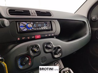 FIAT Panda 1.0 FireFly 70cv S&S Hybrid 11
