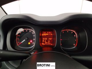 FIAT Panda 1.0 FireFly 70cv S&S Hybrid 11