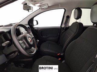 FIAT Panda 1.0 FireFly 70cv S&S Hybrid 5