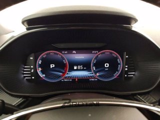SKODA Fabia 1.0 tsi evo Monte Carlo 110cv dsg 13
