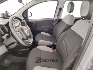 FIAT Panda 1.0 firefly hybrid City Life s&s 70cv 6