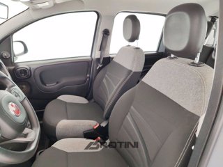 FIAT Panda 1.0 firefly hybrid City Life s&s 70cv 8