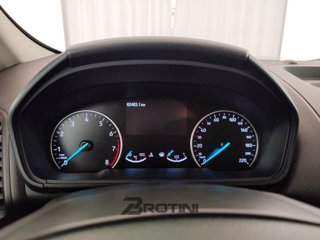 FORD EcoSport 1.0 ecoboost Active s&s 125cv 14