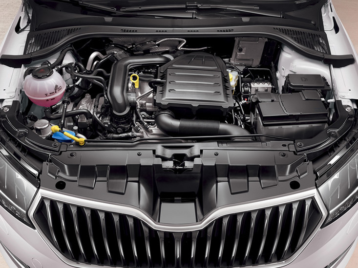 Skoda Fabia Wagon Massa motore