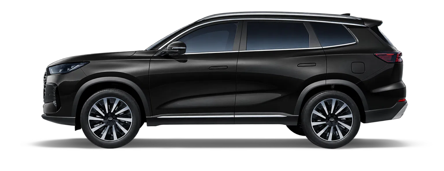 Tiggo8