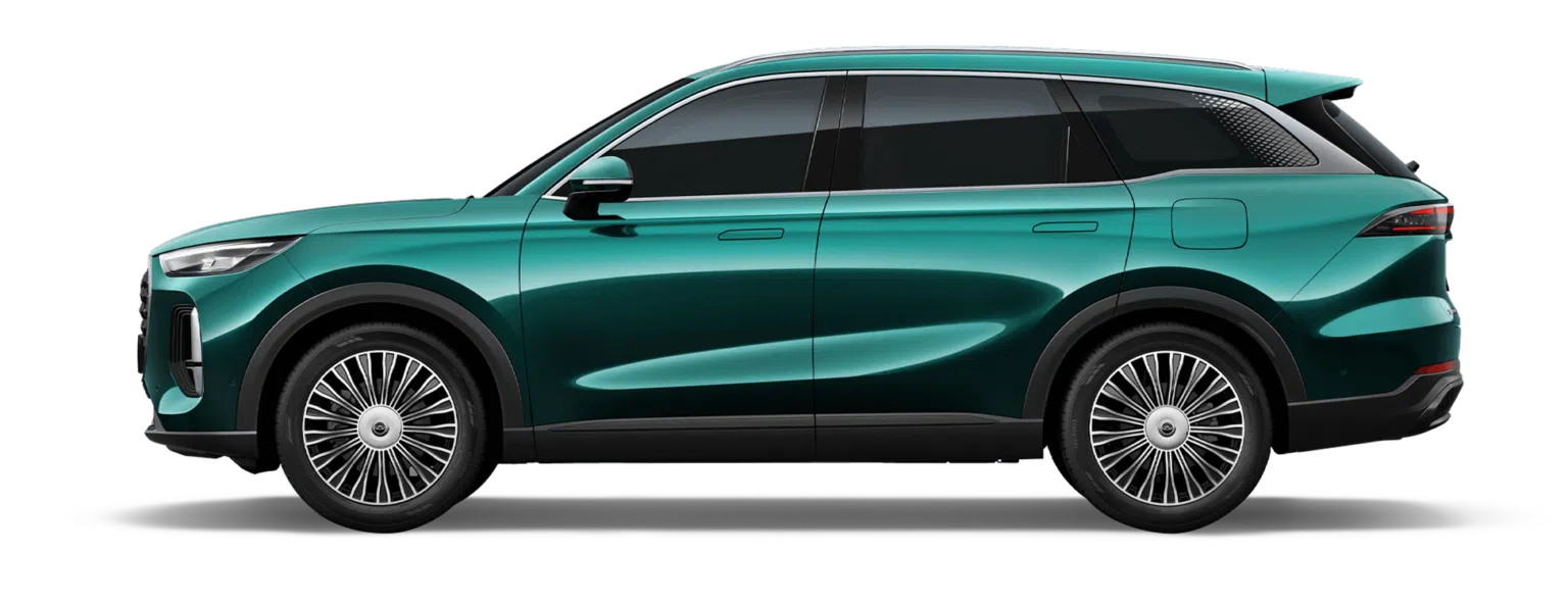 Tiggo9